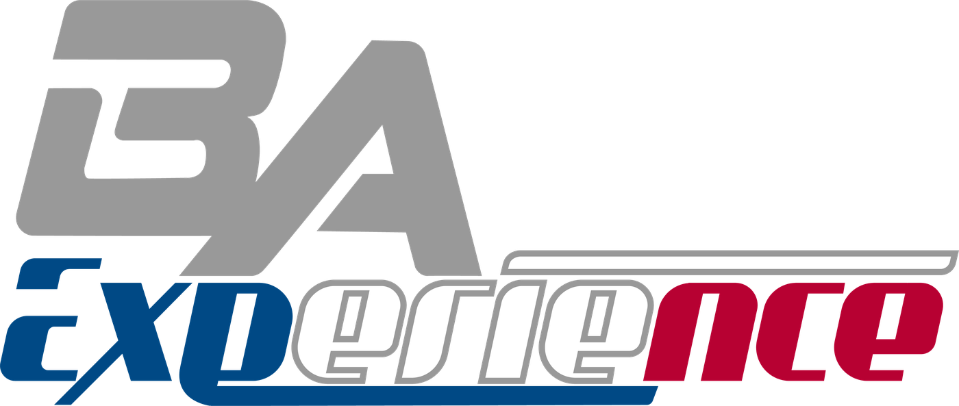 BA Experience — logo